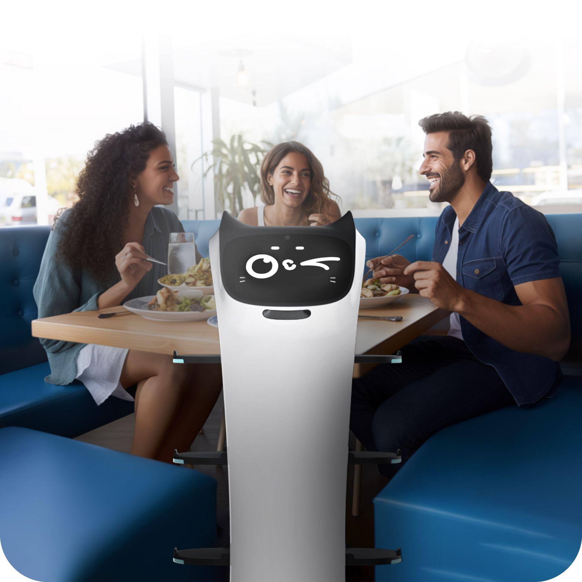 Robots de Servicio