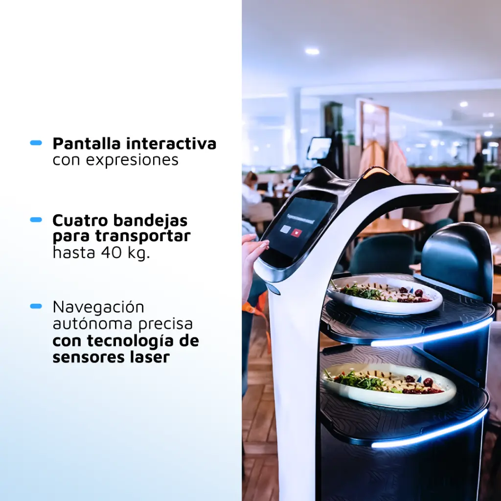 BELLABOT-CARRETE-TIENDA-(3).webp