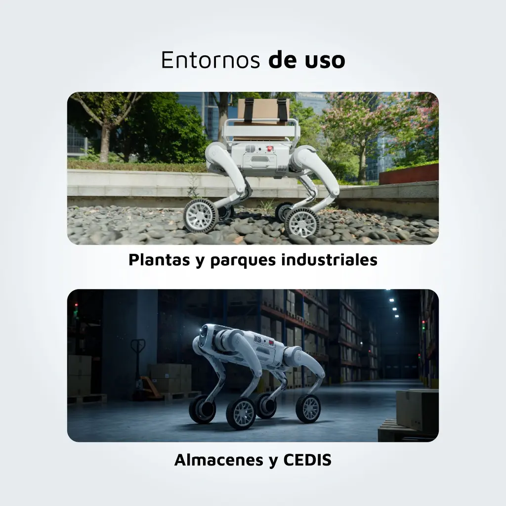 CARRETE D5-05.webp