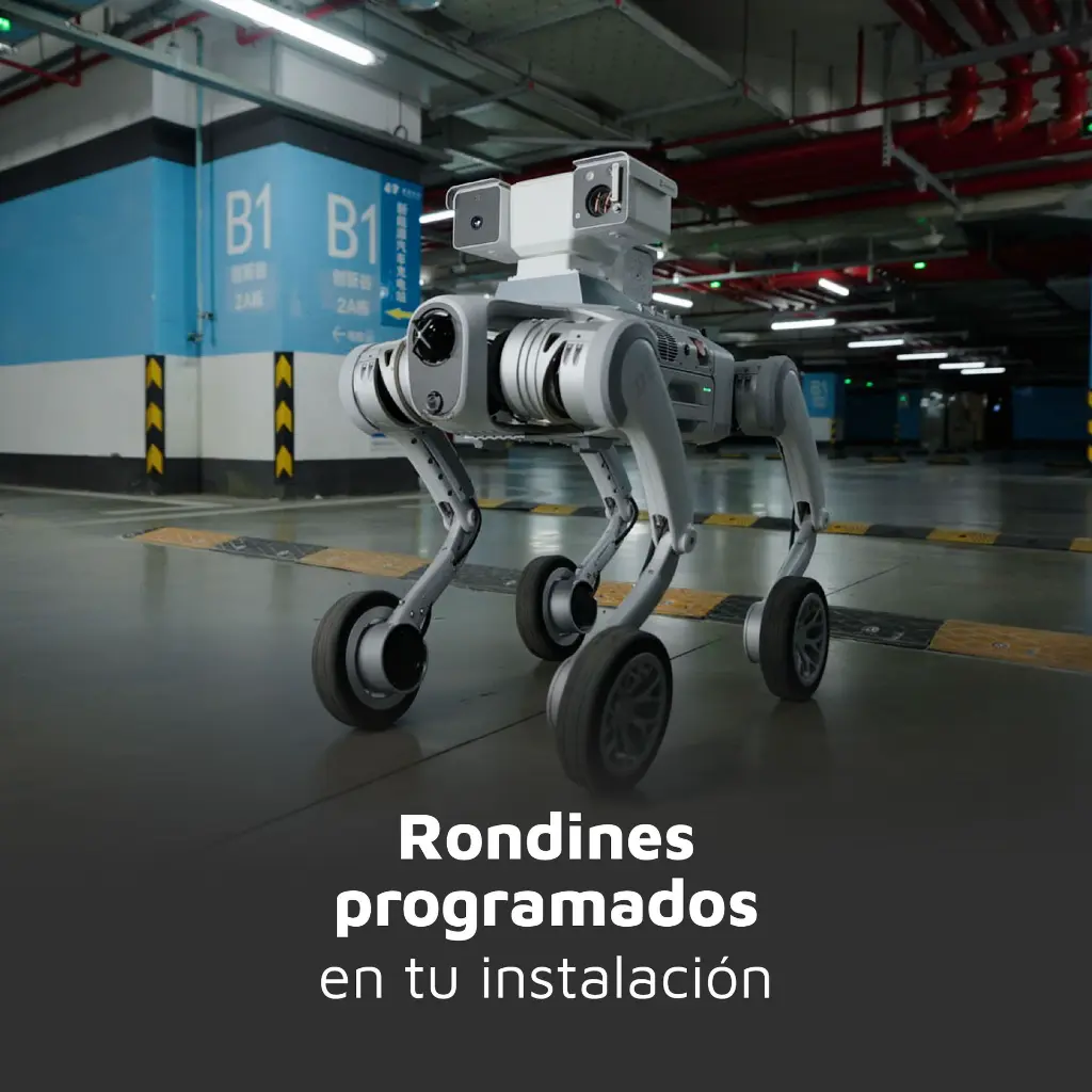 CARRETE D5-02.webp