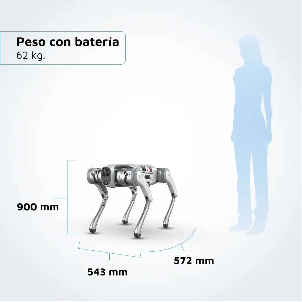 CARRETE D5-04.webp