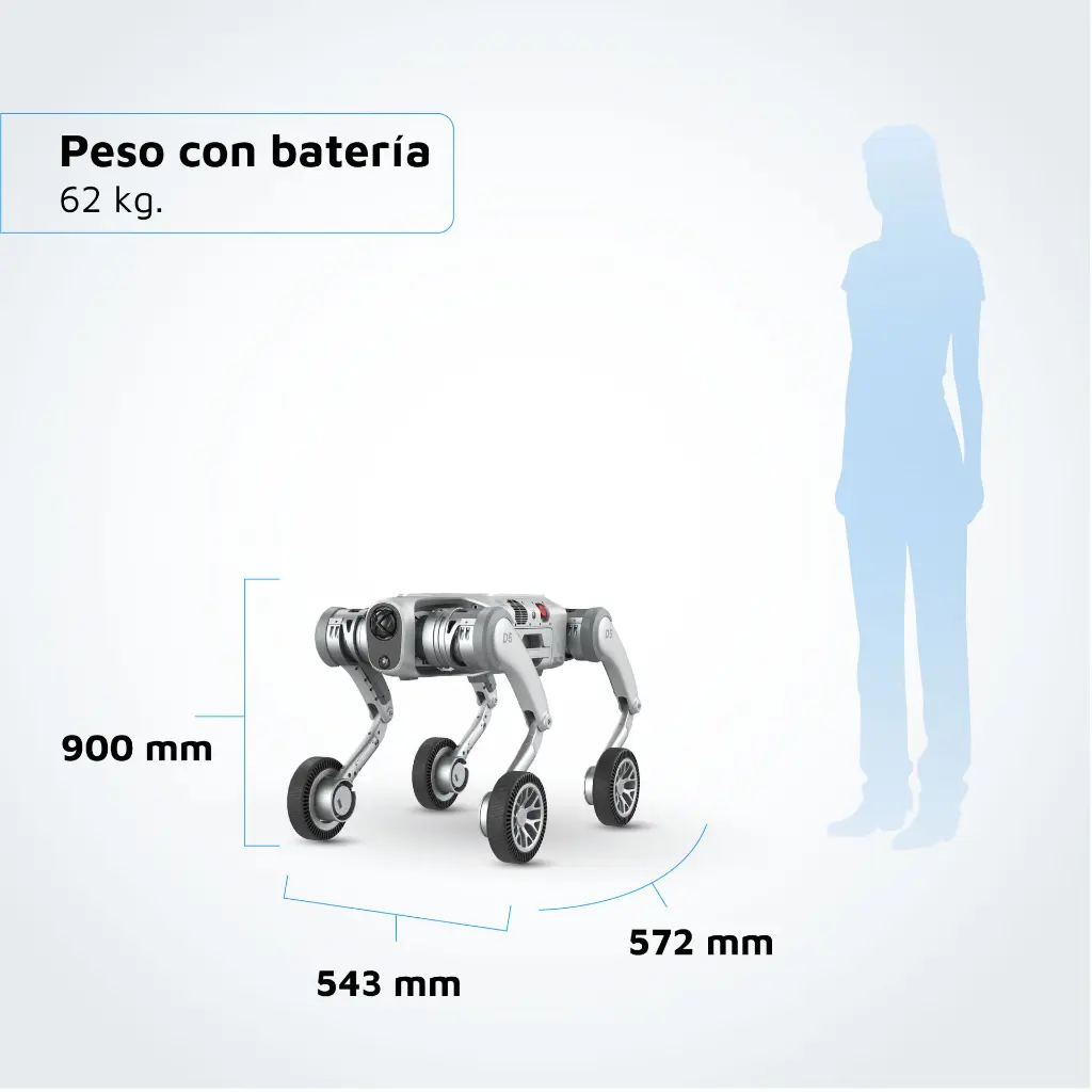 CARRETE D5 V2-04.webp
