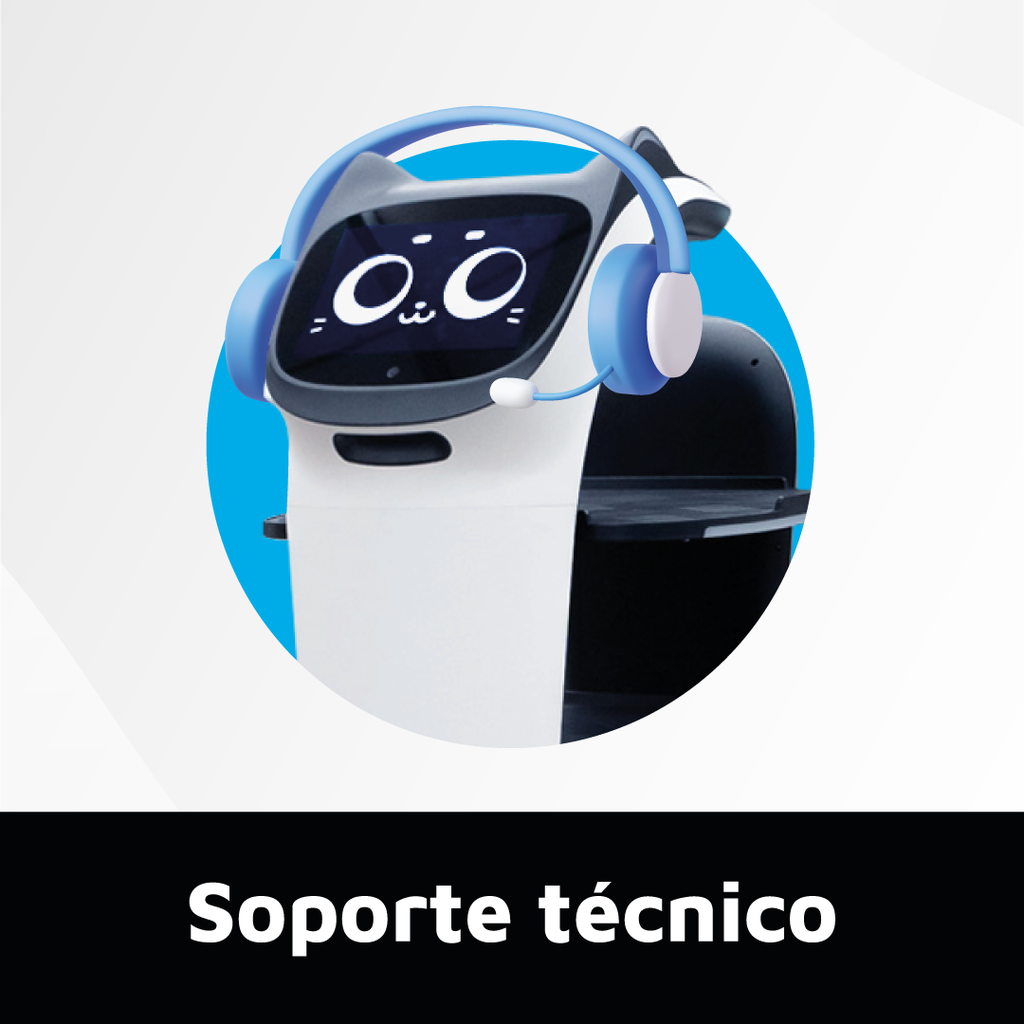 Soporte técnico en sitio (por hora)