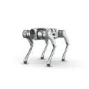 Robot de vigilancia D5w series
